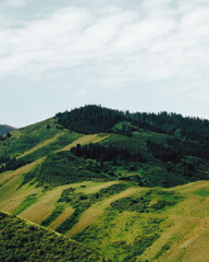 landscape with green hills and blue sky