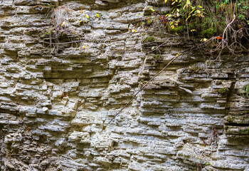shallow water, autumn condition of the riverbed due to the absence of snowmelt
