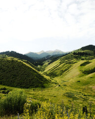 landscape in the mountains