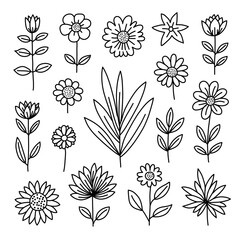 Collection of Different Flowers and Leaves Hand Drawn Doodle © rezydwiprakastia