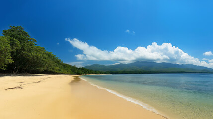 Obraz premium Tropical Sandy Beach with Soft Blue Ocean Waves and Clear Water