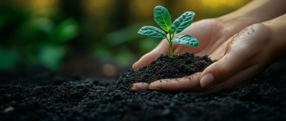 Corporate social responsibility CSR and brand identity merge, crafting a public image that resonates with societal values and strengthens customer loyalty