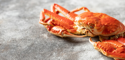 Close-up of fresh snow crab, Steamed snow crab