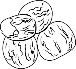 Spices coloring page
