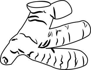 Spices coloring page
