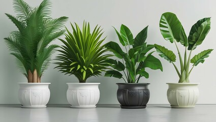 A photo of a lineup of four potted plants. From left to right, there is a tall, feathery green plant in a white pot; a bushy, vibrant