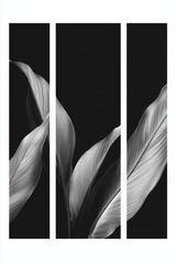 Black and White Plant