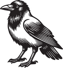 Crow vector illustration in black and white