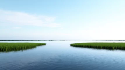 Tranquil Lake with Lush Vegetation