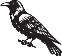 Fototapeta premium Crow vector illustration in black and white