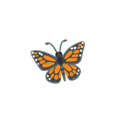 butterfly isolated on white  background.