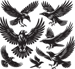 Crow vector illustration in black and white
