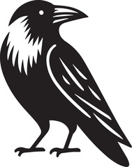 Crow vector illustration in black and white