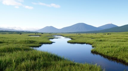 Fototapeta premium Tranquil Grassland River Landscape