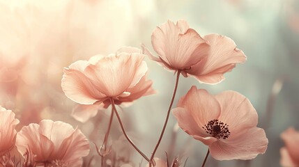 Delicate pink flowers bloom softly against a dreamy, blurred background, evoking a sense of tranquility and natural beauty.