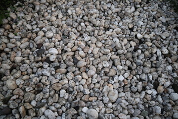 A Close-Up of Smooth, White River Stones
