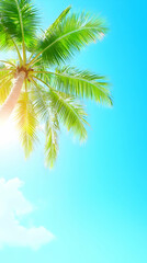 Palm Tree Summer Background Illustration