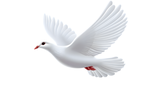 A serene white dove in flight with outstretched wings, occupying 65 percent of the image and symbolizing peace on a transparent background 