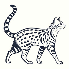 Fototapeta premium African Black-footed Cat silhouette vector illustration on white background.