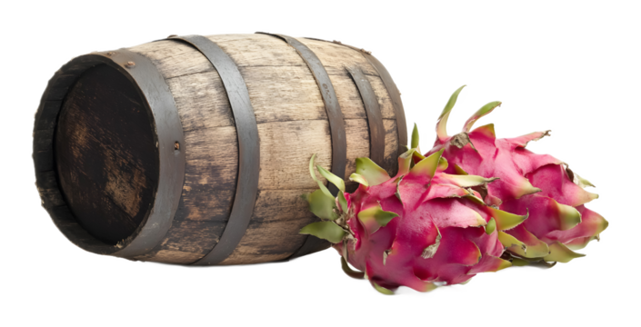 Dragon fruit in a barrel isolated on a white background