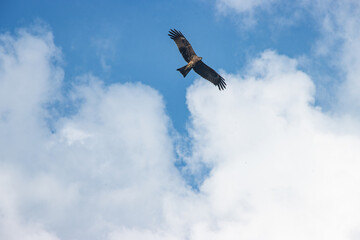 The sky is an unobstructed view upward from the surface of the Earth. It includes the atmosphere and outer space