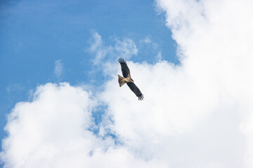 The sky is an unobstructed view upward from the surface of the Earth. It includes the atmosphere...