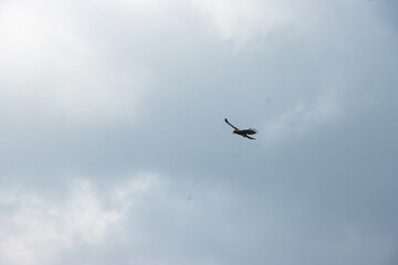 The sky is an unobstructed view upward from the surface of the Earth. It includes the atmosphere and outer space