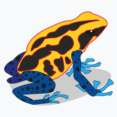 Разноцветная ядовитая жаба. Опасное животное, насекомоядное.