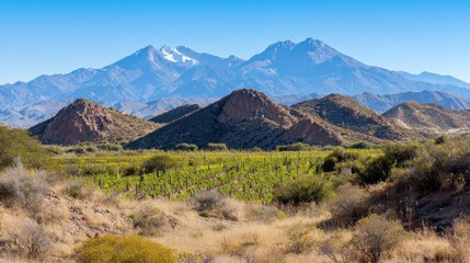 Fototapeta premium Desert Mountain Range under Clear Sky