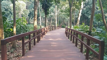 Obraz premium Wooden walkway through a lush green forest