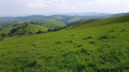 Obraz premium Serene Rolling Hills Landscape