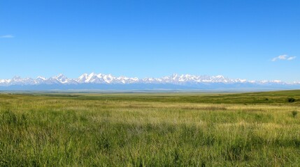 Vast Grassland with Distant Mountain Range