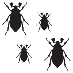 Cockchafer Silhouette, Cockchafer Vector Silhouette, Cockchafer cartoon Silhouette, Cockchafer illustration, Cockchafer icon Silhouette, Cockchafer Silhouette illustration