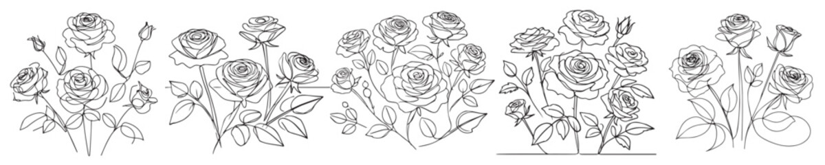 vector set of roses with continuous line style