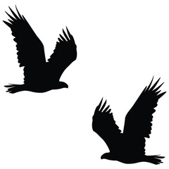 Crow Silhouette, Crow Vector Silhouette, Crow cartoon Silhouette, Crow illustration, Crow icon Silhouette, Crow Silhouette illustration
