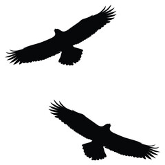 Crow Silhouette, Crow Vector Silhouette, Crow cartoon Silhouette, Crow illustration, Crow icon Silhouette, Crow Silhouette illustration