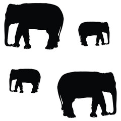 Fototapeta premium Elephant Silhouette, Elephant Vector Silhouette, Elephant cartoon Silhouette, Elephant illustration, Elephant icon Silhouette, Elephant Silhouette illustration