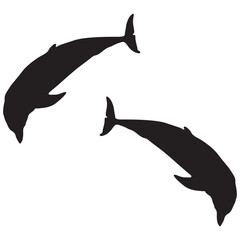 Dolphin Silhouette, Dolphin Vector Silhouette, Dolphin cartoon Silhouette, Dolphin illustration, Dolphin icon Silhouette, Dolphin Silhouette illustration