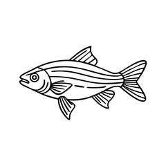 Striped fish outline vector illustration, Black and white vector illustration of a striped fish with simple outline design, perfect for aquatic or marine-themed projects.  
