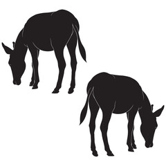 Donkey Silhouette, Donkey Vector Silhouette, Donkey cartoon Silhouette, Donkey illustration, Donkey icon Silhouette, Donkey Silhouette illustration