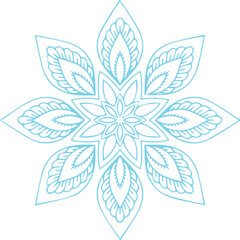 Beautiful flower art and mandala vector design