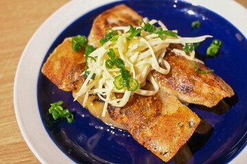 Handmade dumplings with fresh vegetables