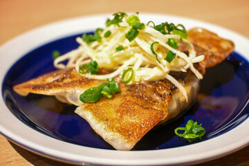 Handmade dumplings with fresh vegetables