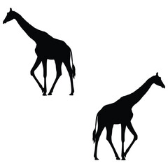 Giraffe Silhouette, Giraffe Vector Silhouette, Giraffe cartoon Silhouette, Giraffe illustration, Giraffe icon Silhouette, Giraffe Silhouette illustration