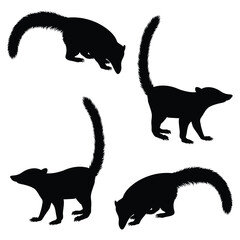 Coati Silhouette, Coati Vector Silhouette, Coati cartoon Silhouette, Coati illustration, Coati icon Silhouette, Coati Silhouette illustration
