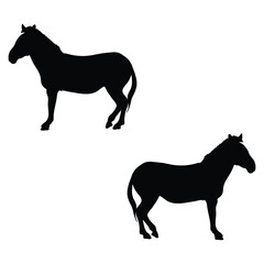 Zebra Silhouette, Zebra Vector Silhouette, Zebra cartoon Silhouette, Zebra illustration, Zebra icon Silhouette, Zebra Silhouette illustration