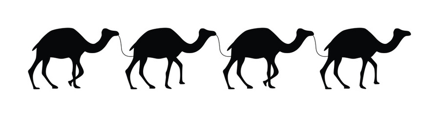 Camel Silhouette Against the Desert Sunset Sky