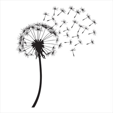 recommend clip art: Beautiful Dandelion Floral Clipart for Nature Designs
                    