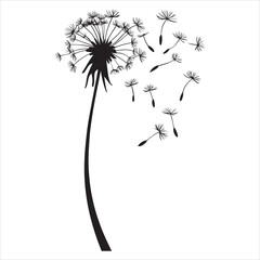 Detailed Dandelion Plant Vector Illustration for Art Projects 