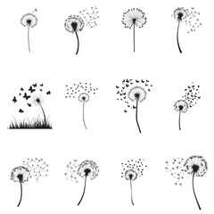 Collection of Dandelion Floral Clipart Design, Dandelions Plant Vector illustration